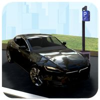 Real Carx Streat Parking