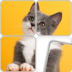 Jigsaw Solitaire: Cards Puzzle