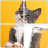 Jigsaw Solitaire: Cards Puzzle