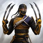Shadow Fight 4: Arena