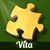 Vita Studio.