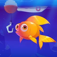 Fishing cycle