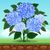 Seed Games