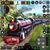 ALP GAMES