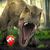 Ludia Games