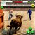 Rocky Apps & Games