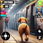 Pet Dog Runner Dash Adventure