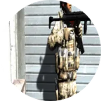 FPS Assault