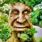 WISE OAK ATTACKS