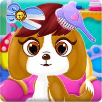 Pet Hair Beauty Makeover Salon