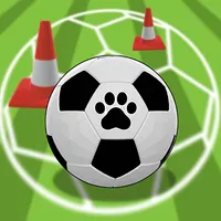 Cats Football Training