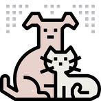 Raining Cats & Dogs