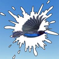 Crappy Bird (Paid)