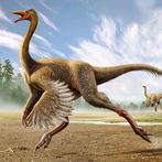 Gallimimus: Fastest Dino Sim