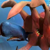 Feed and Giant Fish