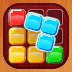 Block Sudoku Puzzle