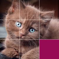 Jigsaw Puzzles: HD Puzzle Game