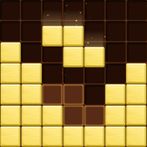 Wood Block Master Puzzle Blast