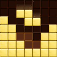 Wood Block Master Puzzle Blast