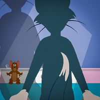 Tom And Mouse Jerry cat