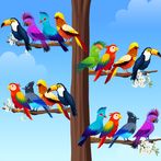 Bird Sort - Color Puzzle
