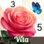 Vita Studio.