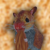 Hamster Simulator