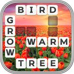 Word Wiz - Connect Words Game