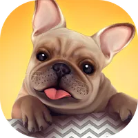 Dog Shelter - Bark Bark Bark