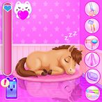 Zoo Animal Hotel
