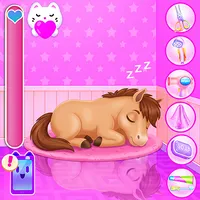 Zoo Animal Hotel