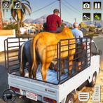 US Animal Transport Truck Game