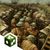 Hunted Cow Games