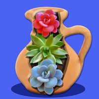 Succulents Sculptures DIY