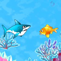 Fish Vs Shark