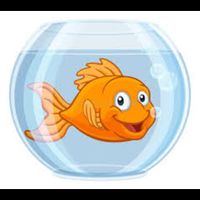 Fish Escape