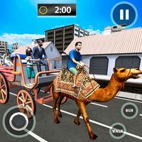Passenger Camel Taxi Driving
