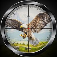 Bird Hunting Simulator 2025