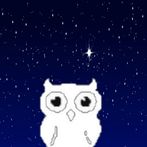 Block Owl