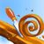 TheNewStart