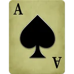 Callbreak Master - Card Game