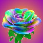 Rainbow Flowers DIY