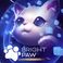 Bright Paw: Definitive Edition