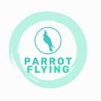 Parrot Flying