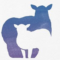 Sheeplings