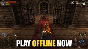 Dungeon Ward: Offline Games - Screenshot 1