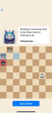 Chess Cats - Screenshot 3